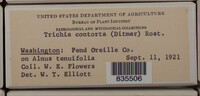 Image Associated With the Occurence